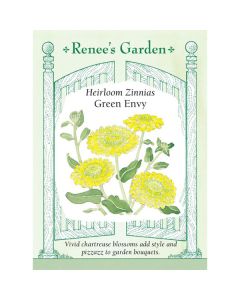 Zinnia, Green Envy ~ 100 seeds