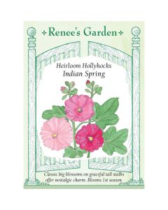 Alcea, Hollyhock, Indian Spring ~ 100 seeds