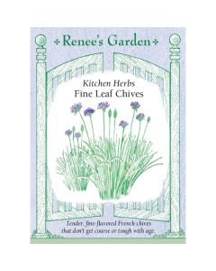 Allium, Chives, Fine Leaf Chives ~ 750 seeds