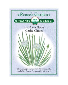 Allium, Chives, Garlic Chives ~ 225 seeds