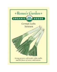 Allium, Leeks, Striesen ~ 450 seeds