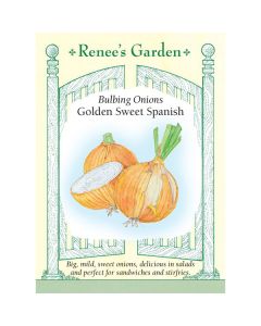 Allium, Sweet Onion (Long Day) 'Golden Sweet Spanish' ~ 300 seeds