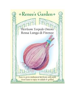 Allium, Onion, Rossa Lunga di Firenze ~ 400 seeds