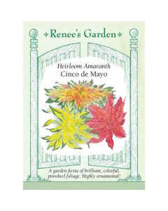 Amaranthus Mix 'Cinco de Mayo' Heirloom~ 400 seeds