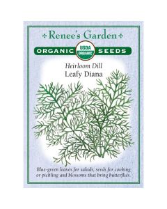 Anethum, Dill 'Leafy Diana' Heirloom Organic ~ 1323 seeds