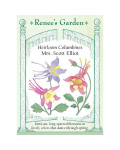 Aquilegia, Columbine Mix 'Mrs. Scott Elliot' Heirloom ~ 200 seeds