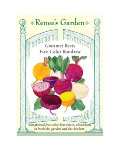Beta, Beet Mix, Five Color Rainbow ~ 280 seeds