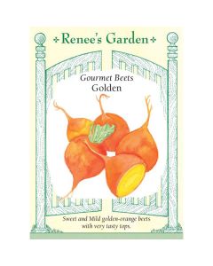 Beta, Beet, Golden ~ 100 seeds