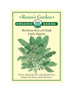 Brassica, Broccoli Raab 'Early Rapini' Organic Heirloom ~ 875 seeds