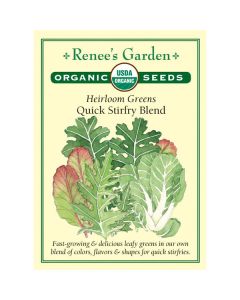 Brassica, Green Mix, Quick Stirfry Blend, ~ 1302 seeds