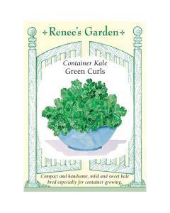 Brassica, Kale, Green Curls ~ 65 seeds