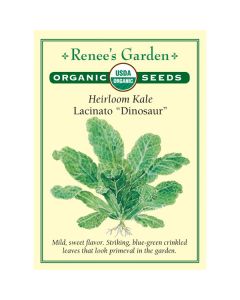 Brassica, Kale, Lacinato "Dinosaur" ~ 250 seeds