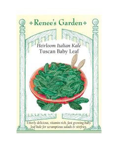 Brassica, Kale 'Tuscan Baby Leaf' Heirloom ~ 225 seeds