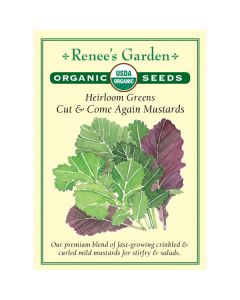 Brassica, Mustard Mix, Cut & Come Again ~ 550 seeds