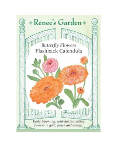 Calendula, Flashback ~ 55 seeds
