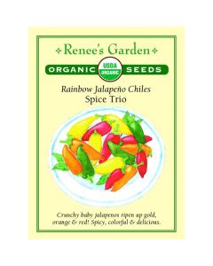 Capsicum, Hot Pepper Mix 'Jalapeño Chiles Spice Trio' Organic ~ 50 seeds