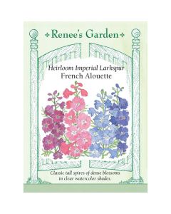 Consolida, Larkspur, French Alouette ~ 475 seeds