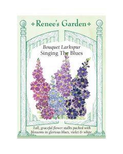 Consolida, Larkspur, Singing the Blues ~ 250 seeds