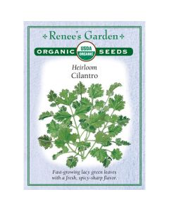 Coriandrum, Cilantro ~ 320 seeds