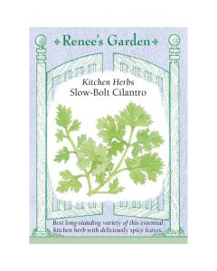 Coriandrum, Cilantro, Slow-Bolt ~ 150 seeds