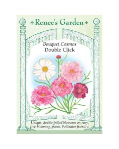 Cosmos Mix 'Double Click' ~ 50 seeds