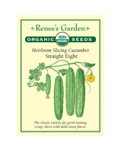 Cucumis, Cucumber, Straight Eight ~ 38 seeds