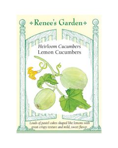 Cucumis, Lemon Cucumbers Heirloom ~ 35 seeds