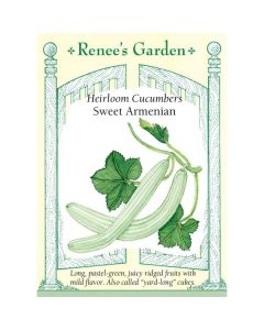 Cucumis, Sweet Armenian ~ 40 seeds