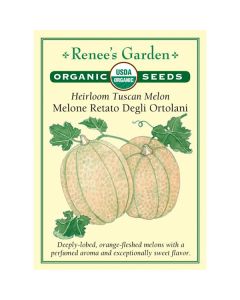 Cucumis, Melon 'Melone Retato Degli Ortolani' Organic Heirloom ~ 47 seeds