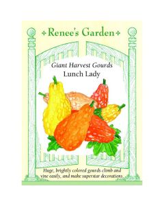 Cucurbita, Gourd, Lunch Lady ~ 15 seeds