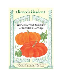 Cucurbita, Pumpkin, French Pumpkin, Cinderella's Carriage ~ 15 seeds