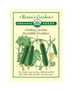 Cucurbita,&#x20;Zucchini,&#x20;&#x27;Incredible&#x20;Escalator&#x27;&#x20;Organic&#x20;&#x7E;&#x20;13&#x20;seeds