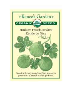 Cucurbita, Squash (Summer), French Zucchini, Ronde de Nice, ~ 39 seeds