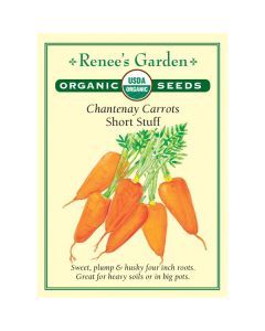 Daucus, Carrot, Chantenay Short Stuff ~ 1550 seeds