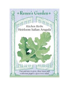 Eruca, Arugula, Italian Arugula ~ 1400 seeds