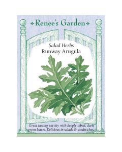 Eruca, Arugula, Runway Arugula ~ 1400 seeds