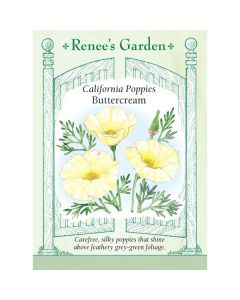Eschscholzia, Poppy, California Poppies Buttercream, ~ 1275 seeds