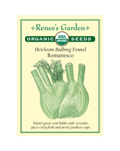 Foeniculum, Bulbing Fennel, Romanesco ~ 73 seeds