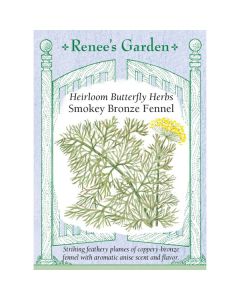 Foeniculum, Smokey Bronze Fennel, ~ 200 seeds