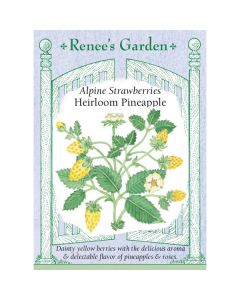 Fragaria, Alpine Strawberries, Heirloom Pineapple ~ 250 seeds