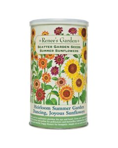 Helianthus, Sunflower, Heirloom Summer Garden Dancing Joyous Sunflowers, Scatter Can ~ 400 sqft