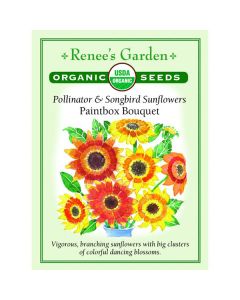 Helianthus, Sunflower, Pollinator & Songbird Sunflowers Paintbox Bouquet ~ 60 seeds