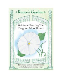 Ipomoea, Moonflower ~ 20 seeds