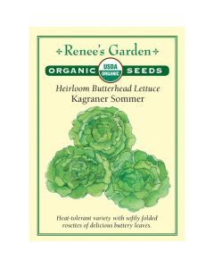 Lactuca, Butterhead Lettuce, Kagraner Sommer ~ 1450 seeds