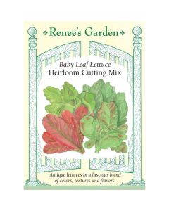 Lactuca, Lettuce Mix, Baby Leaf Lettuce Cutting Mix ~ 1400 seeds