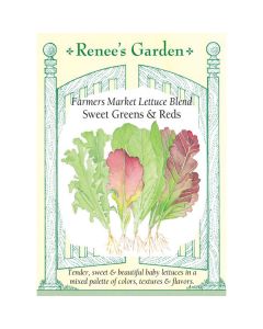 Lactuca, Lettuce Mix 'Sweet Greens & Reds' ~ 1900 seeds