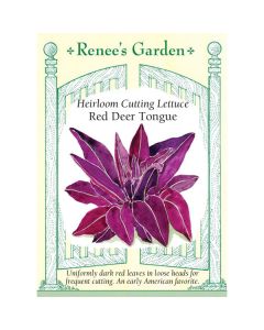 Lactuca, Lettuce, Red Deer Tongue ~ 845 seeds