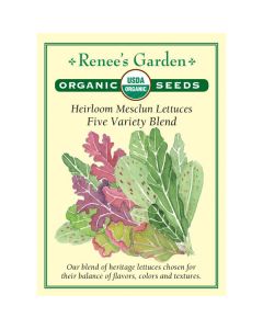 Lactuca, Mesclun Lettuce Mix, Five Variety Blend ~ 1000 seeds