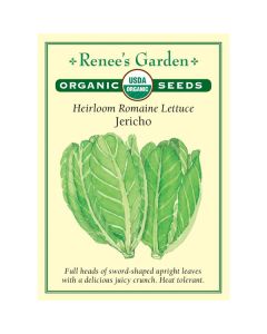 Lactuca, Romaine Lettuce, Jericho ~ 1800 seeds