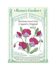Lathyrus, Sweet Pea, Cupani's Original ~ 35 seeds